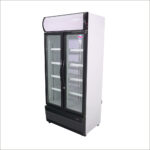 Visicooler 600 Lts MAIGAS Cód.LG600B